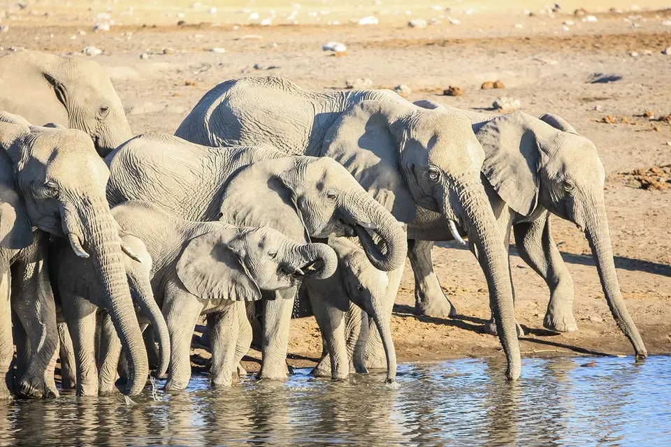 Namibia02-823.jpg