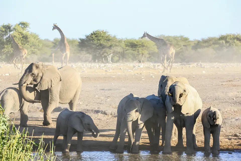 Namibia02-843.jpg