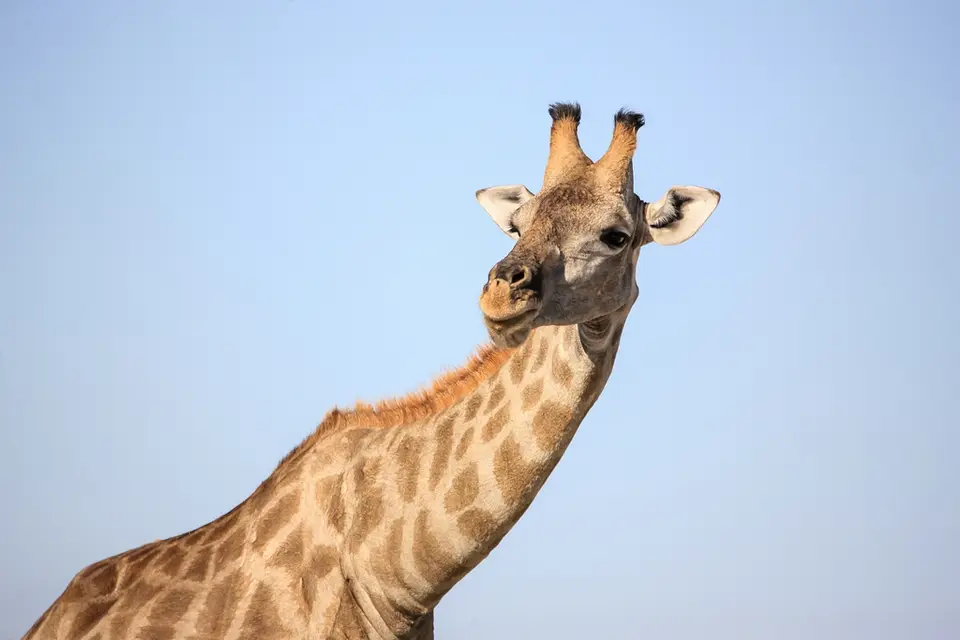 Namibia02-862.jpg