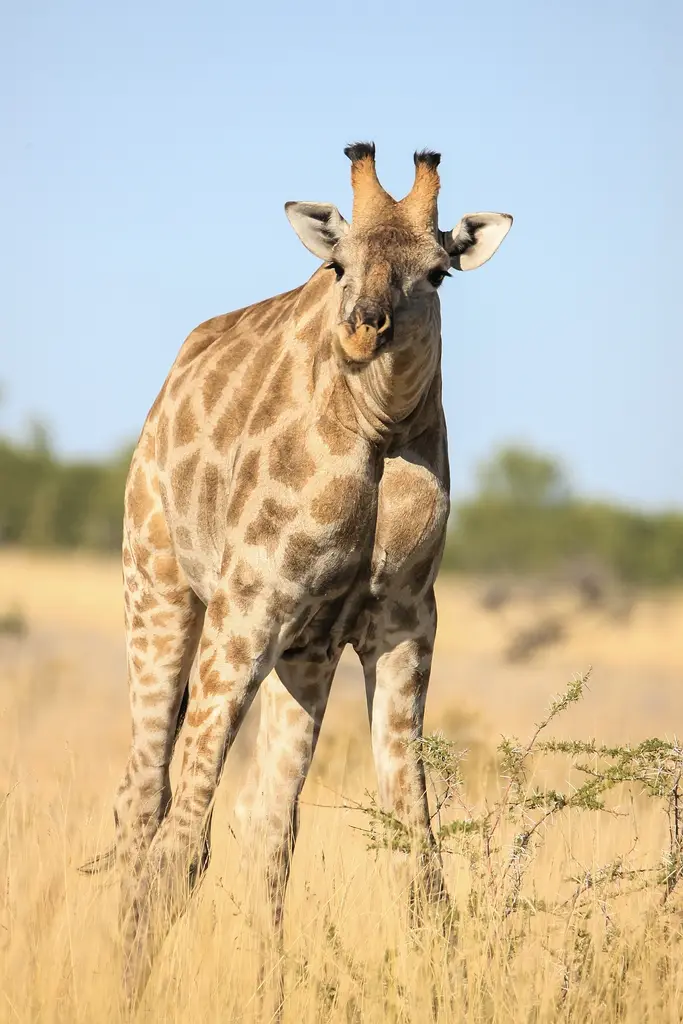 Namibia02-863.jpg