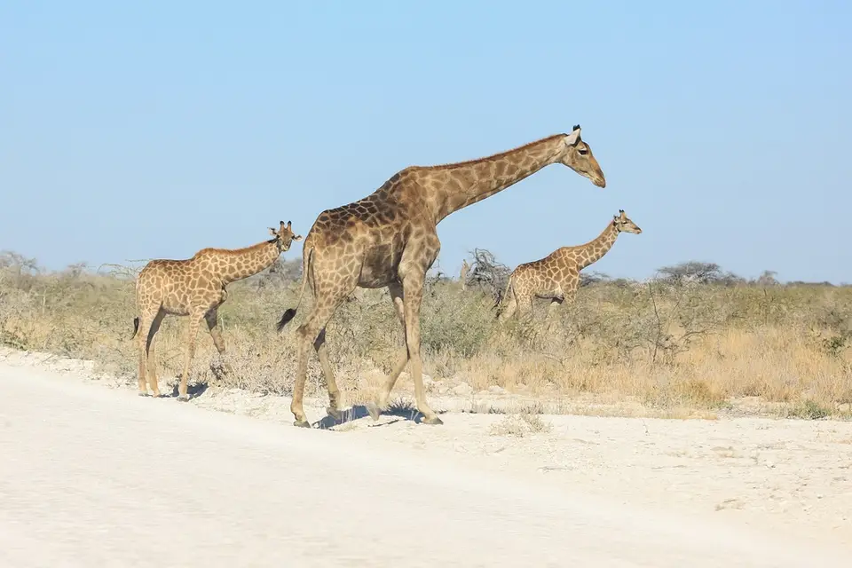 Namibia02-866.jpg