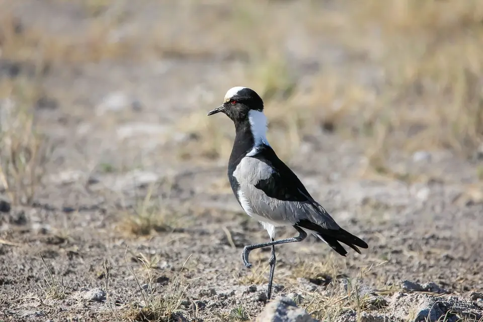 Namibia02-872.jpg