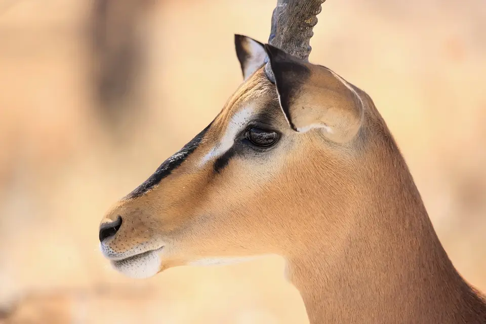 Namibia02-879.jpg