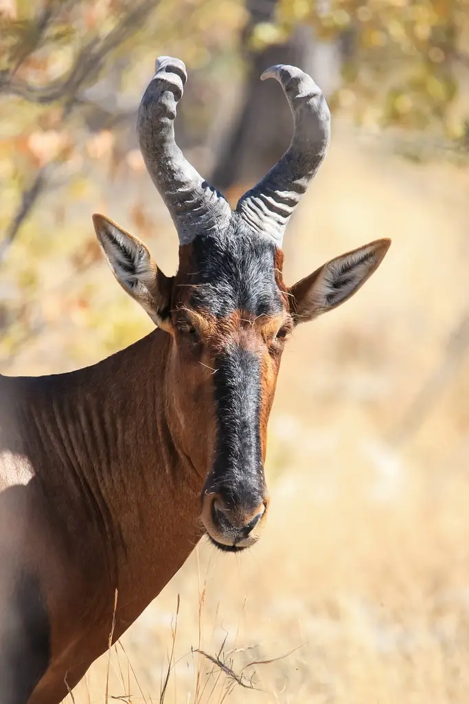Namibia02-885.jpg