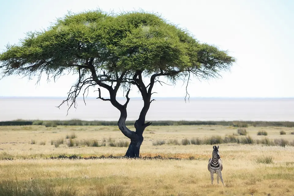 Namibia02-922.jpg