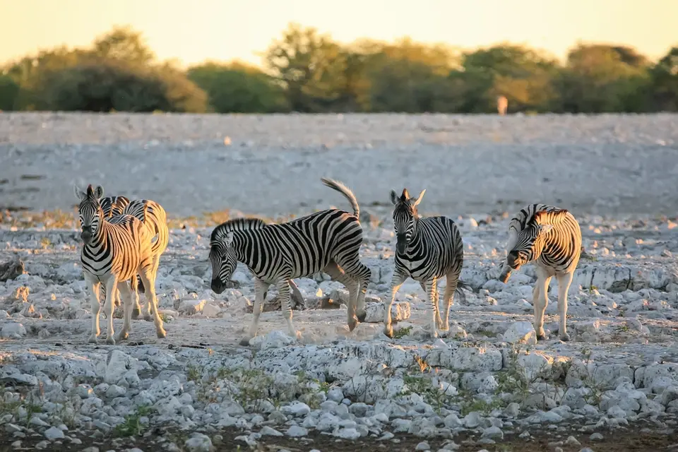 Namibia02-981.jpg
