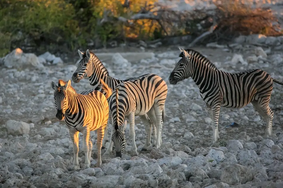 Namibia02-982.jpg