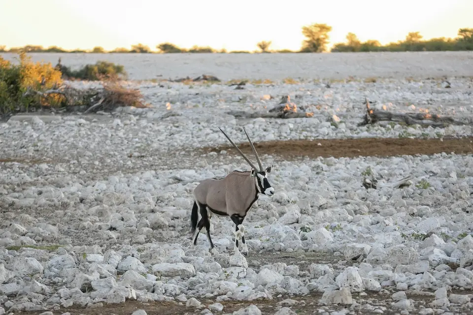 Namibia02-989.jpg