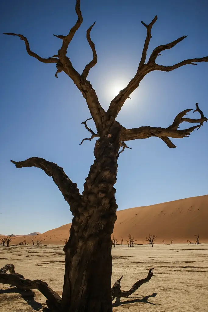 Namibia03-166.jpg