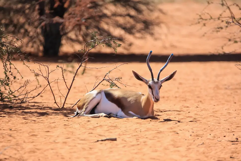 Namibia03-542.jpg