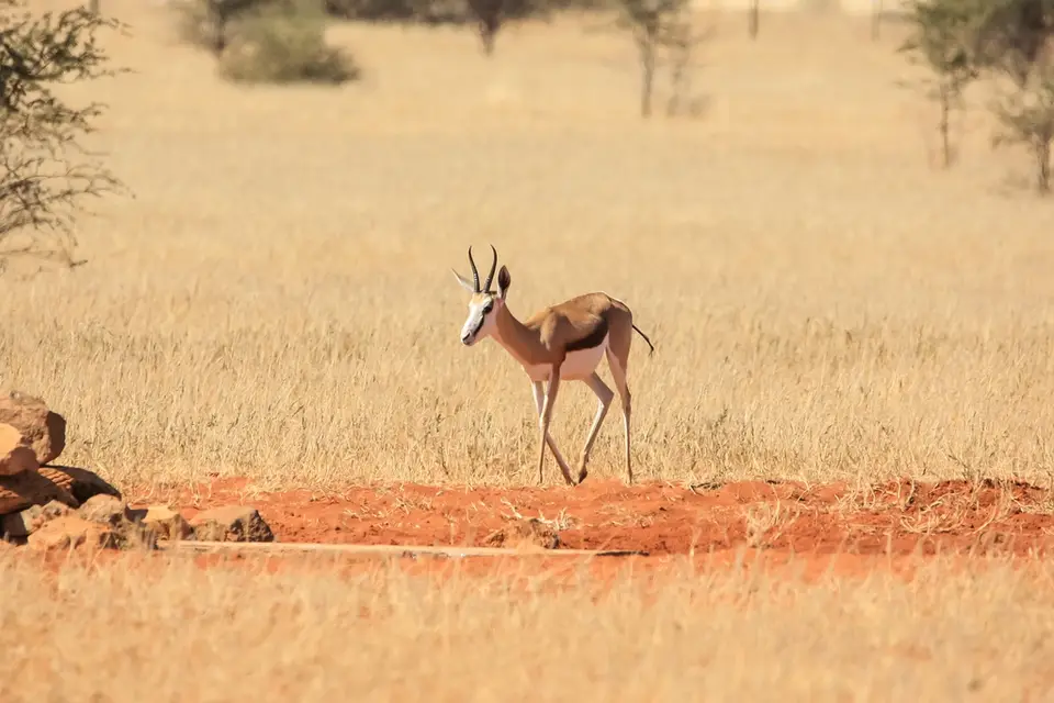 Namibia03-548.jpg