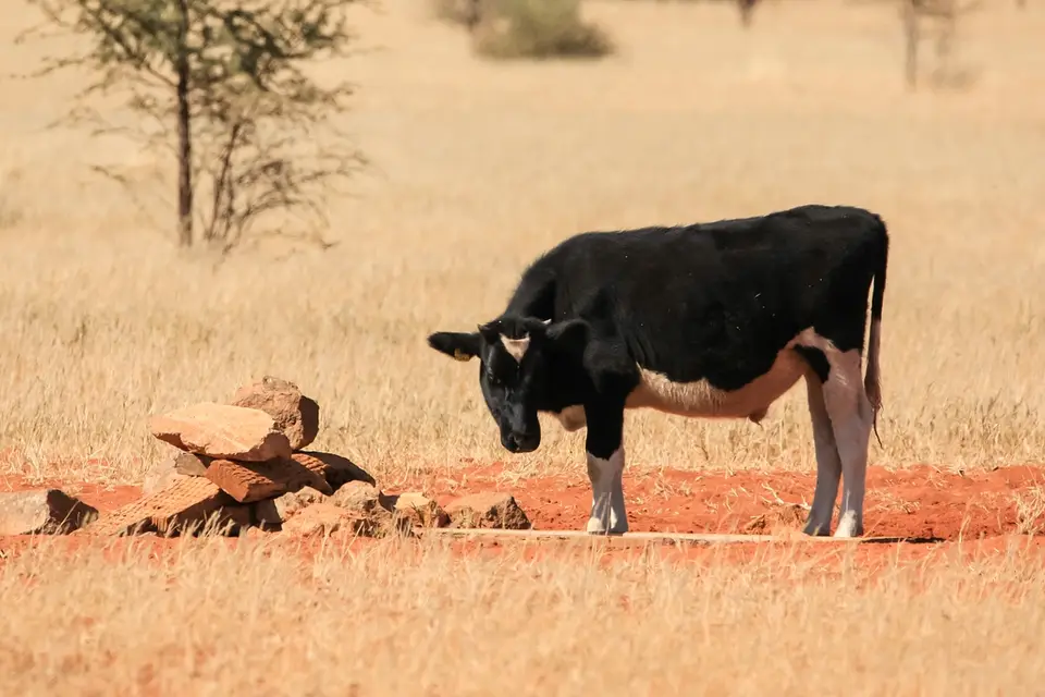 Namibia03-552.jpg