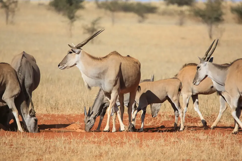 Namibia03-557.jpg