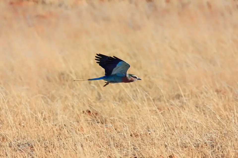 Namibia03-602.jpg