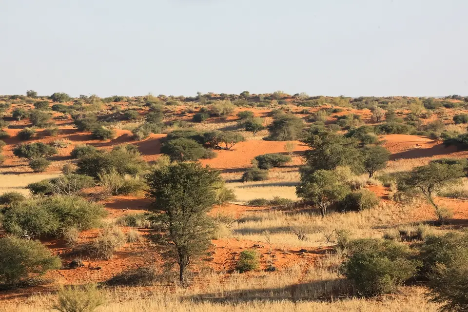 Namibia03-618.jpg