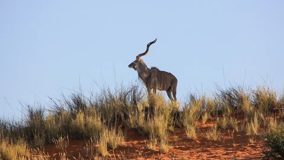Namibia03-622.jpg