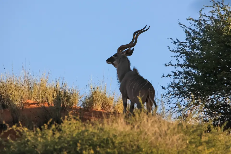 Namibia03-625.jpg