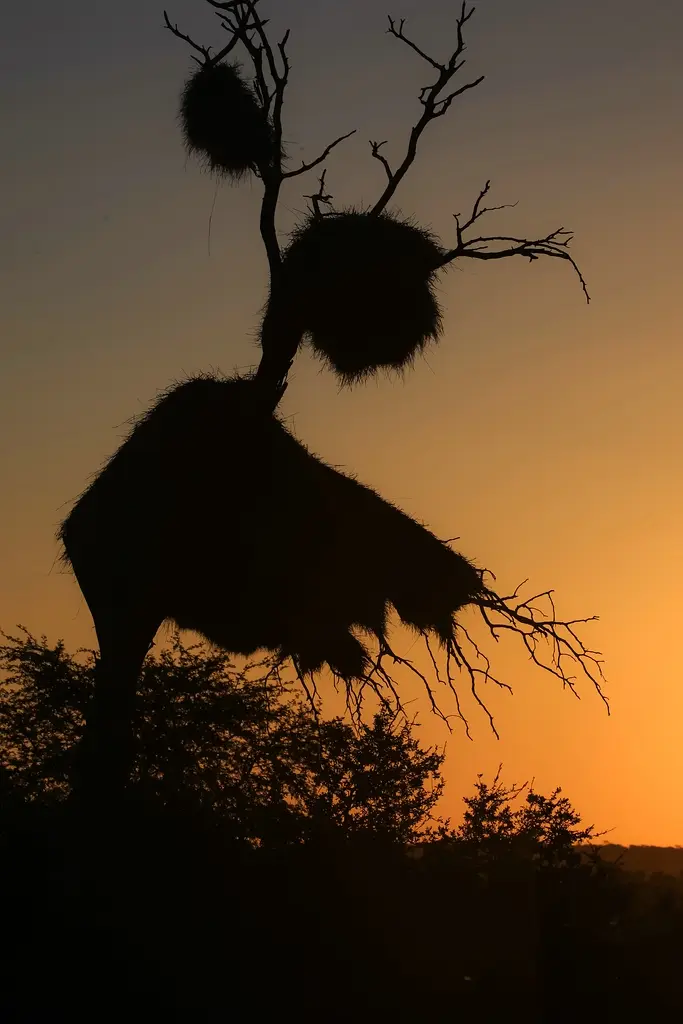 Namibia03-636.jpg