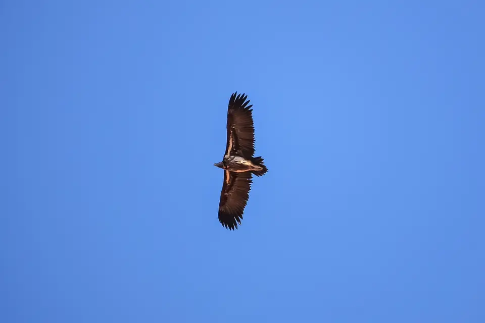 Namibia03-654.jpg