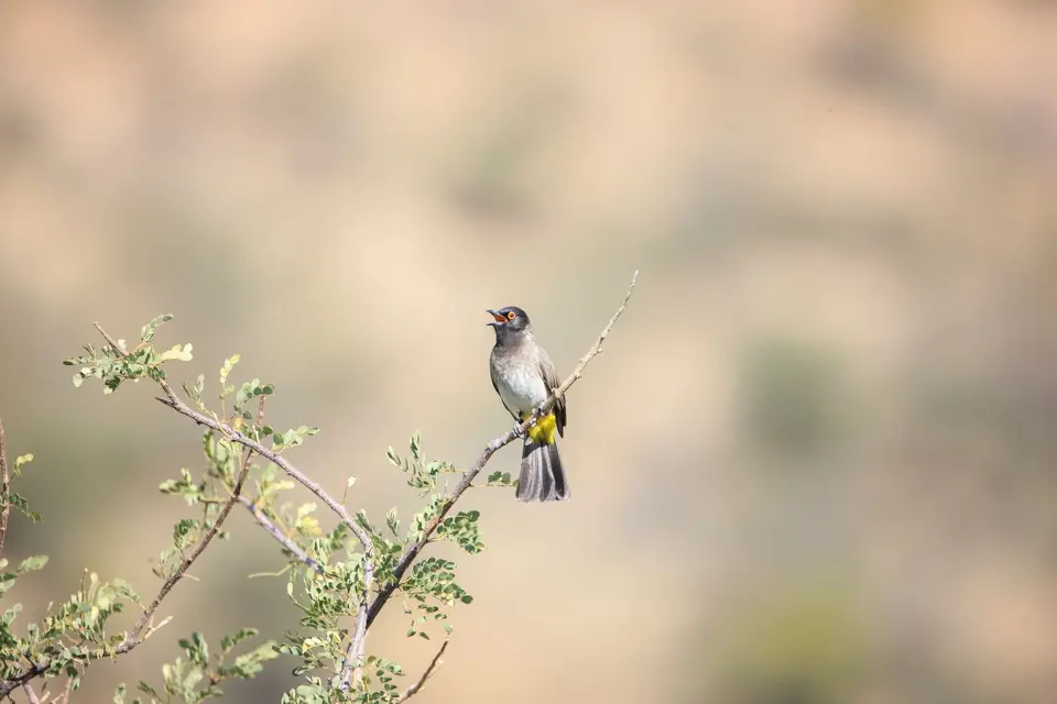 Namibia2016-9.jpg