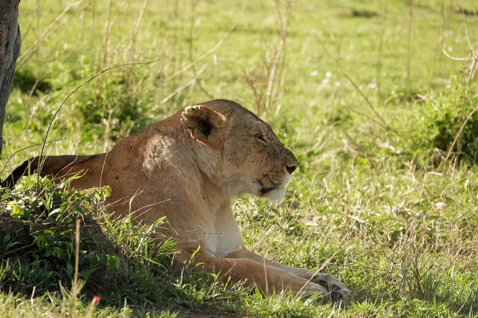 DSC01430_DxO-2.jpg
