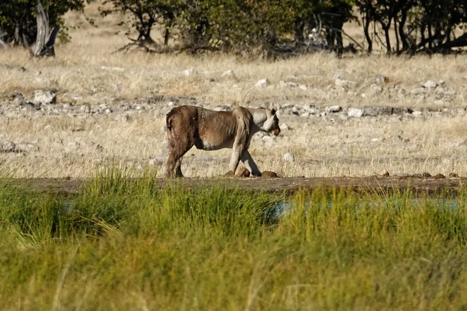 DSC01900_DxO-2-3.jpg