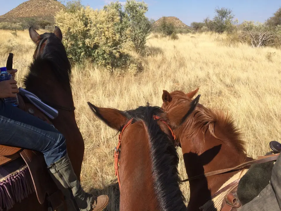 IMG_6826.JPG