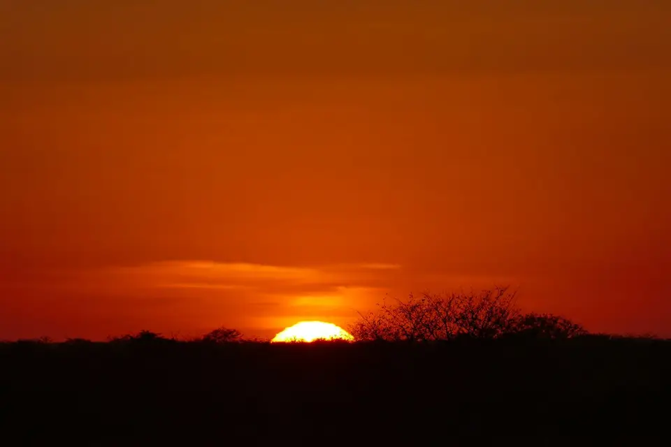 P1050220.JPG