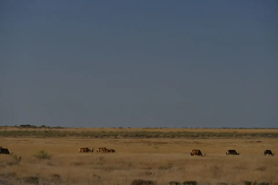 P1070331.JPG