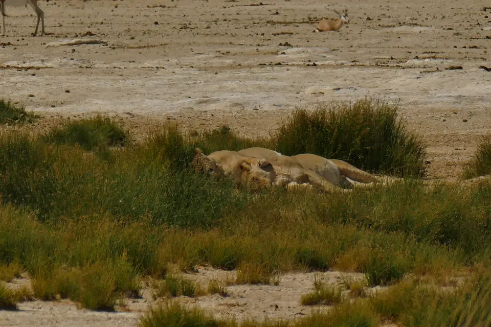 P1080019.JPG