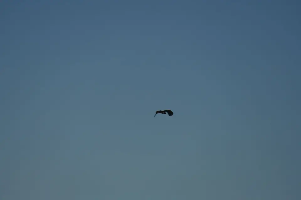 P1080033.JPG