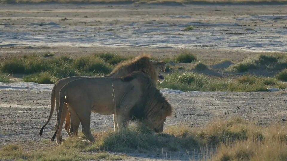 P1080196.JPG