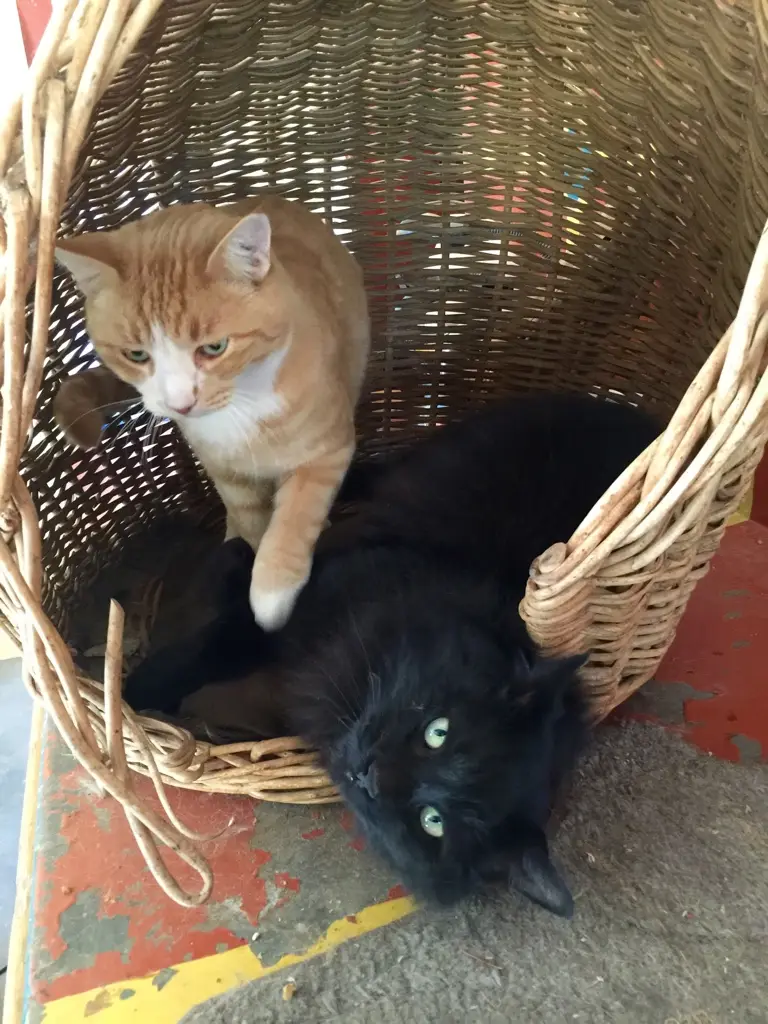 img_7880.jpg
