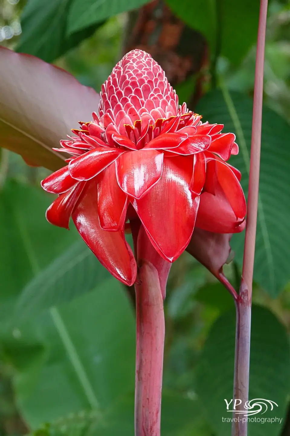20220410Inkl.WZ-DSC05686.jpg
