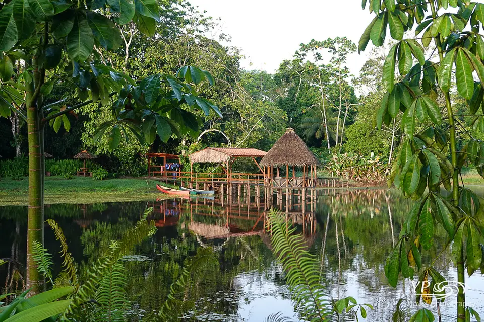 20220411Inkl.WZ-DSC05793.jpg