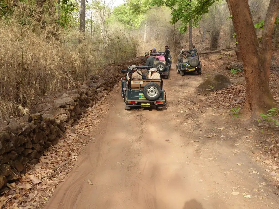 P1030433.JPG