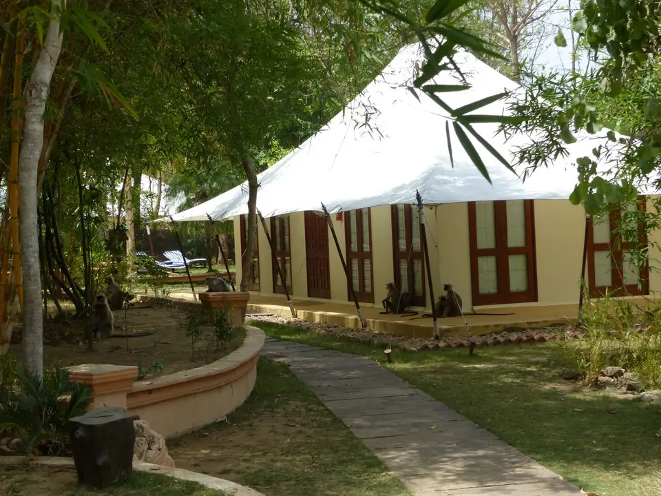 P1200053.JPG
