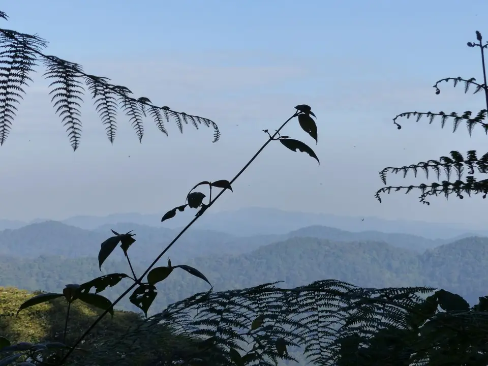 h2690f8a.JPG