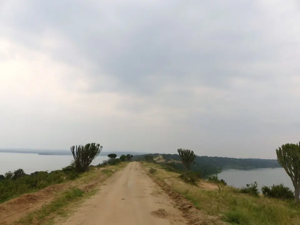h4610ea7.JPG