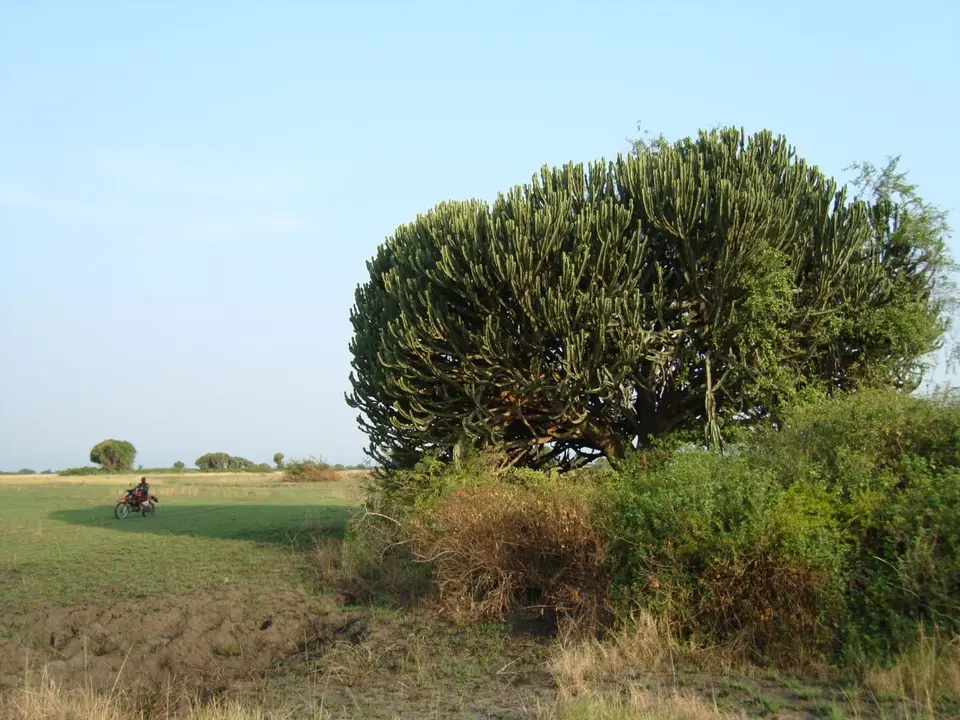 hf71b573.JPG