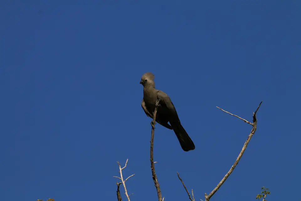 IMG_8929.JPG