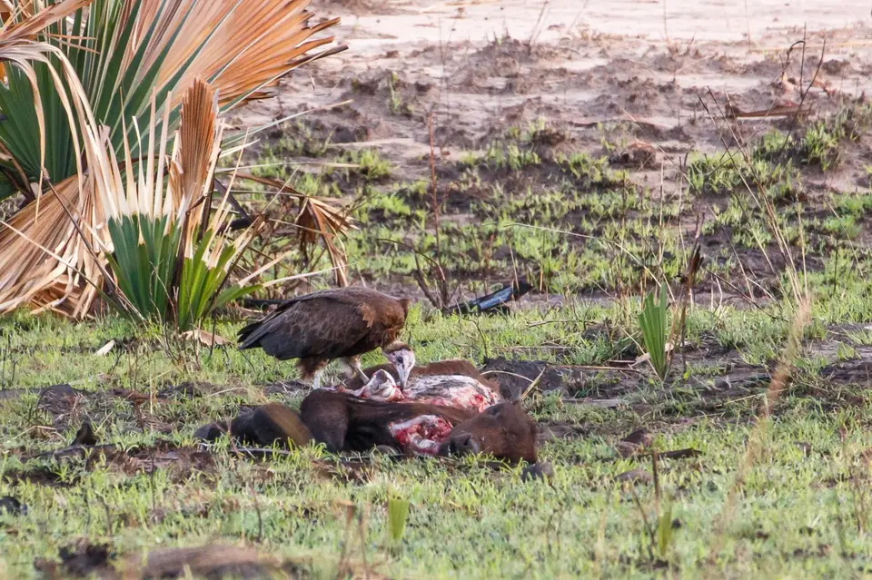 201802261IMG_1591.jpg