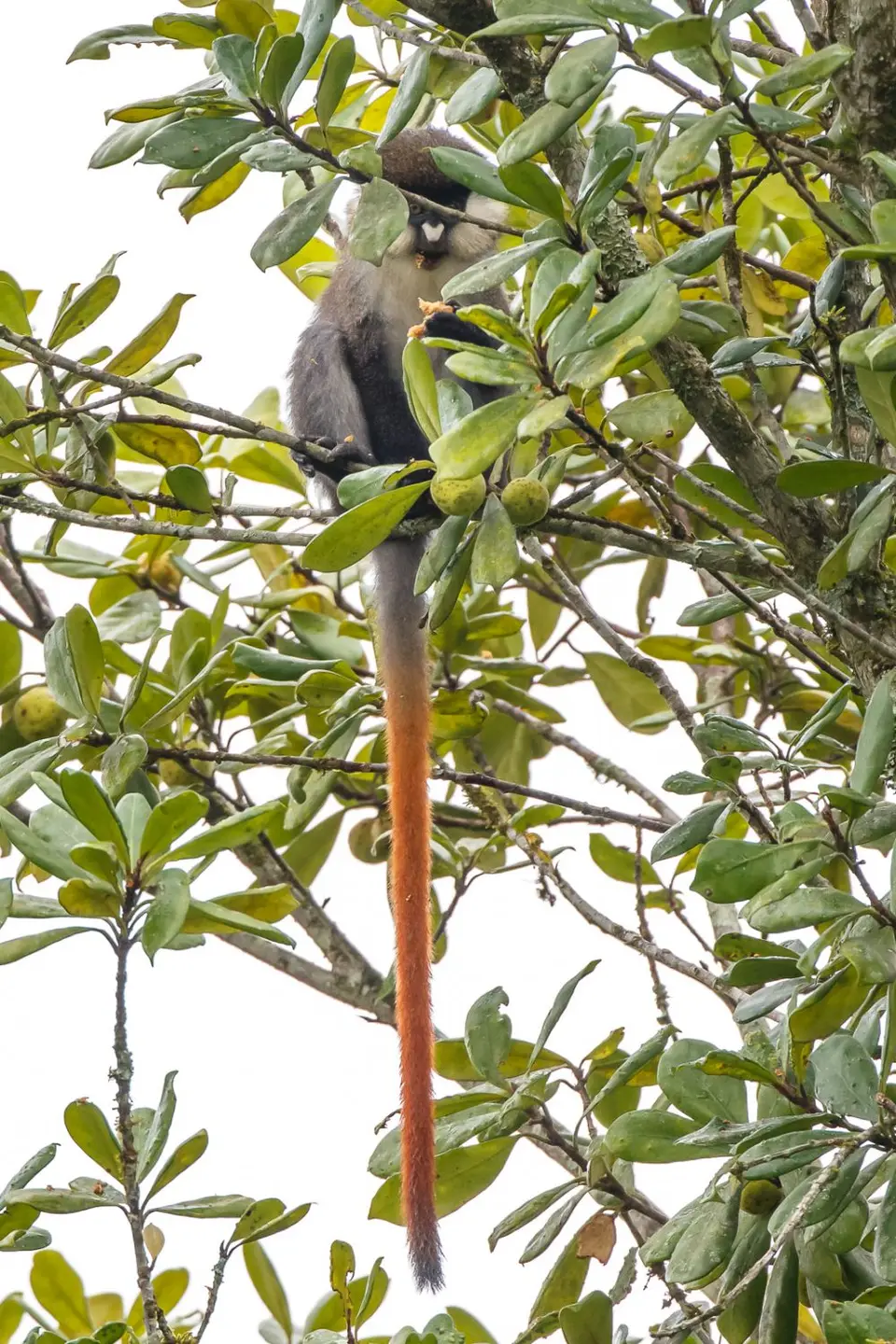 201803031IMG_7816.jpg