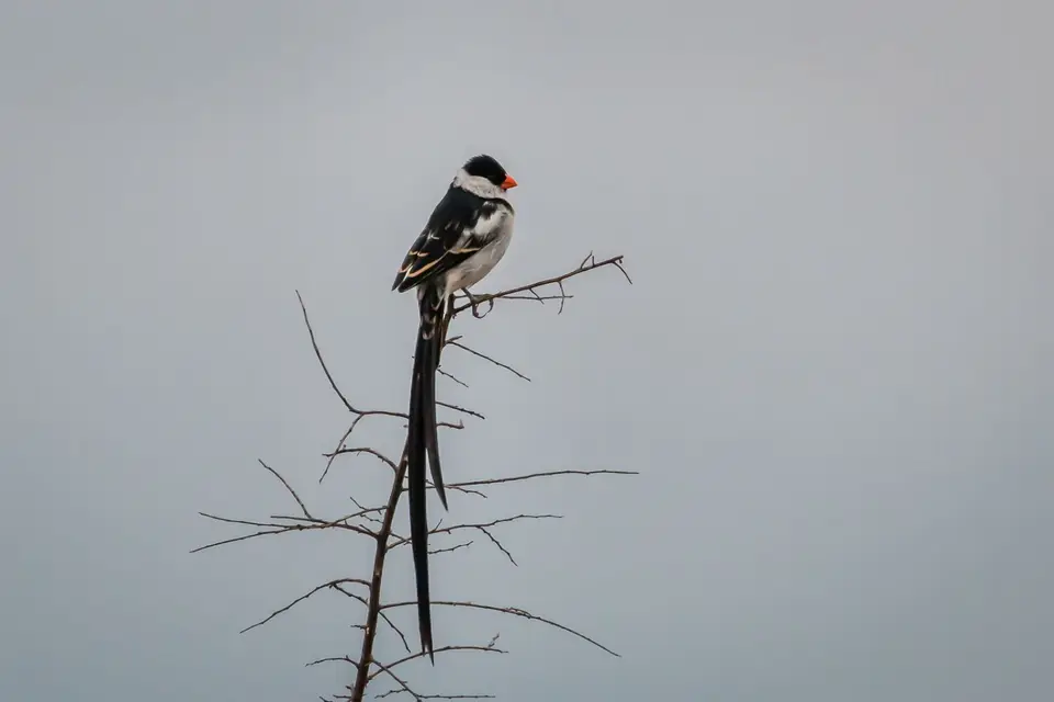 201803041IMG_7901.jpg