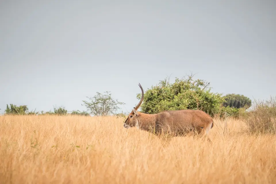 201803041IMG_7946.jpg