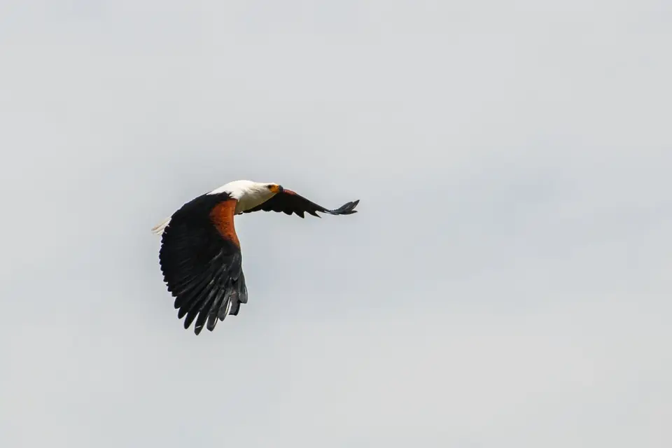201803041IMG_8115.jpg