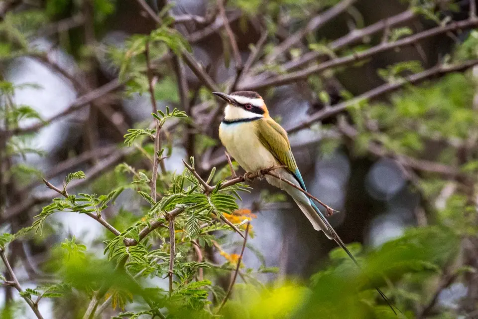 201803041IMG_8329.jpg