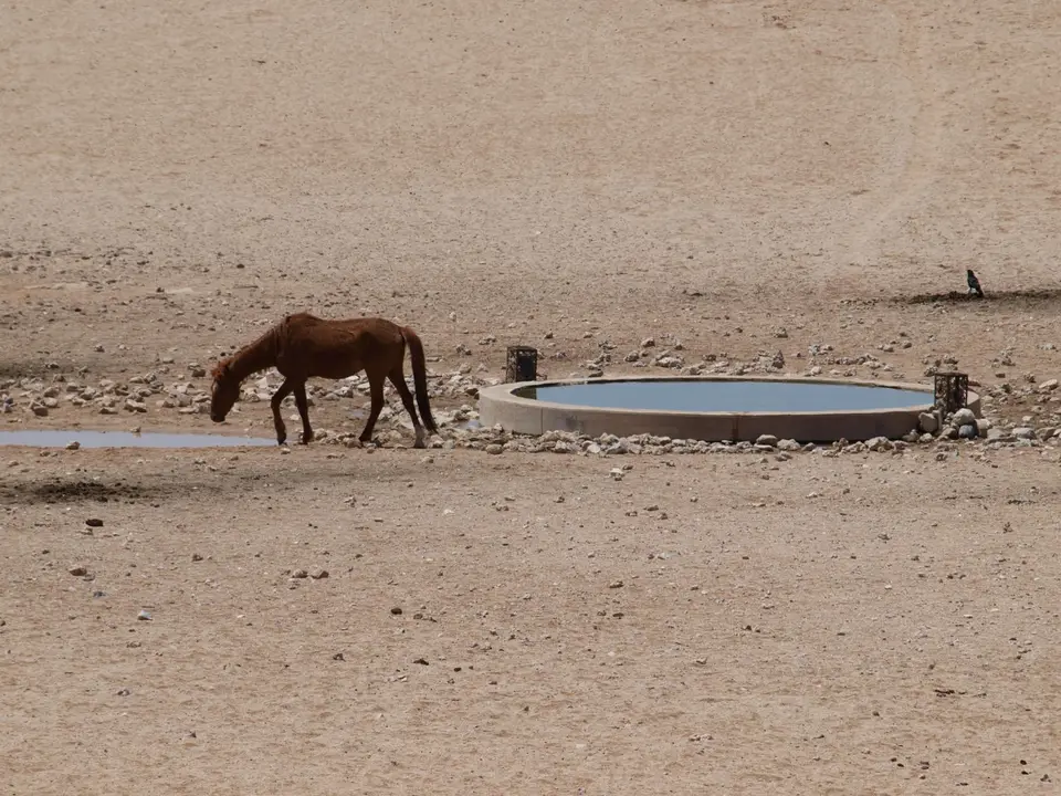Lüderitz65.JPG