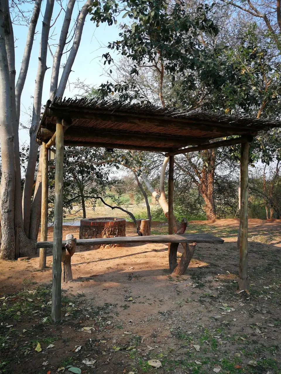 Camp_1.jpg