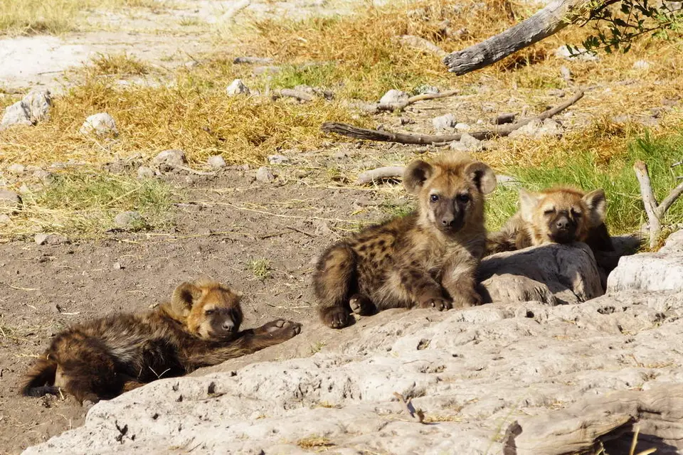 namibia-2017-05-2414-59-00.jpg